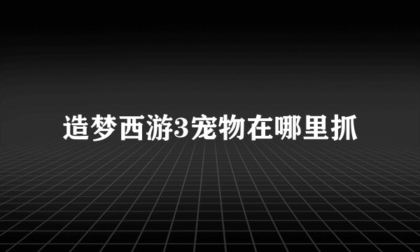 造梦西游3宠物在哪里抓