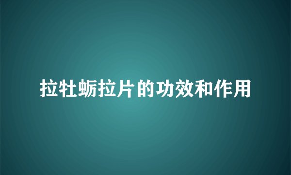 拉牡蛎拉片的功效和作用