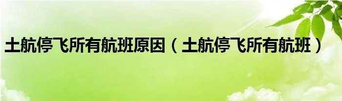 土航停飞所有航班原因（土航停飞所有航班）