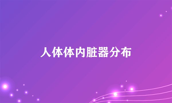 人体体内脏器分布