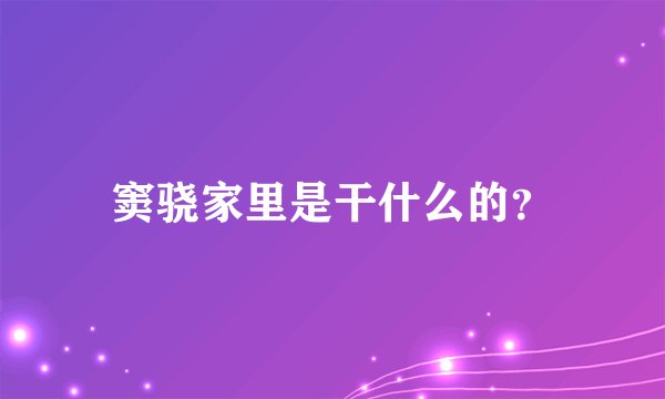 窦骁家里是干什么的?