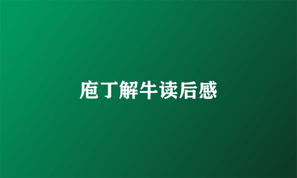 庖丁解牛读后感