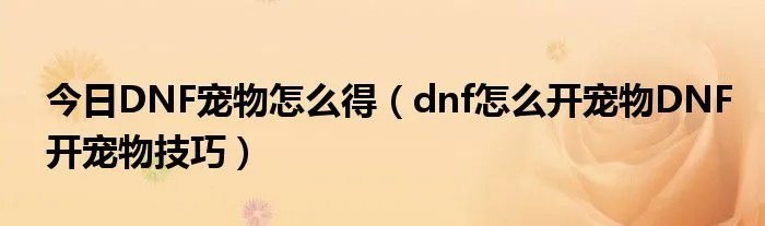 今日DNF宠物怎么得(dnf怎么开宠物DNF开宠物技巧)
