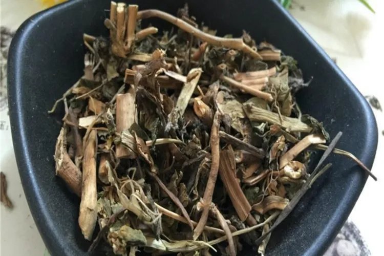 猫眼草图片及功效