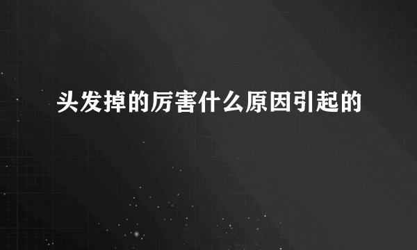 头发掉的厉害什么原因引起的