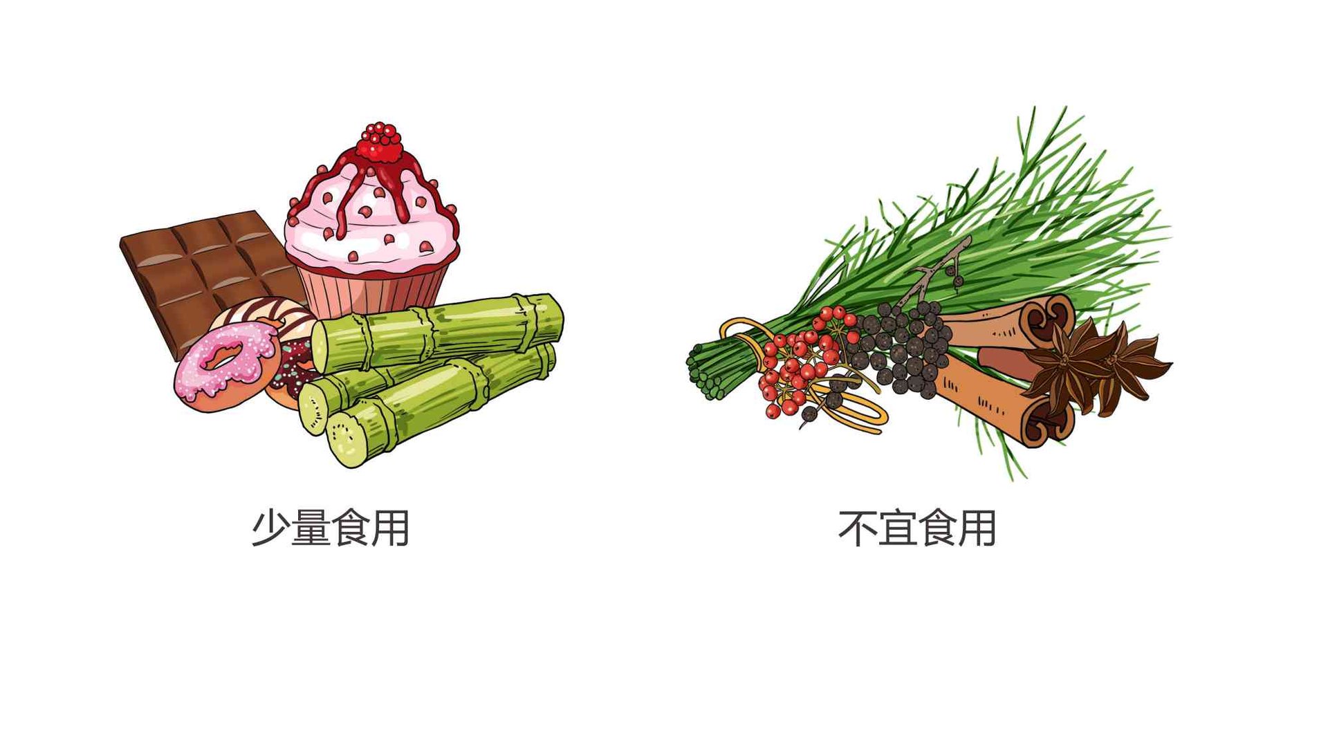 怀孕第14周