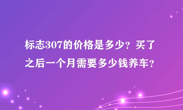 标志307的价格是多少?买了之后一个月需要多少钱养车?