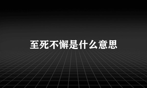 至死不懈是什么意思