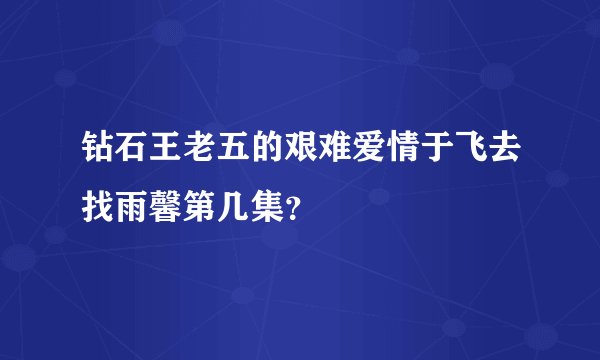 钻石王老五的艰难爱情于飞去找雨馨第几集？