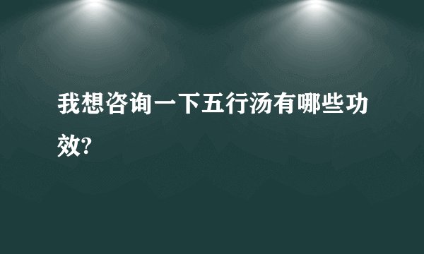 我想咨询一下五行汤有哪些功效?