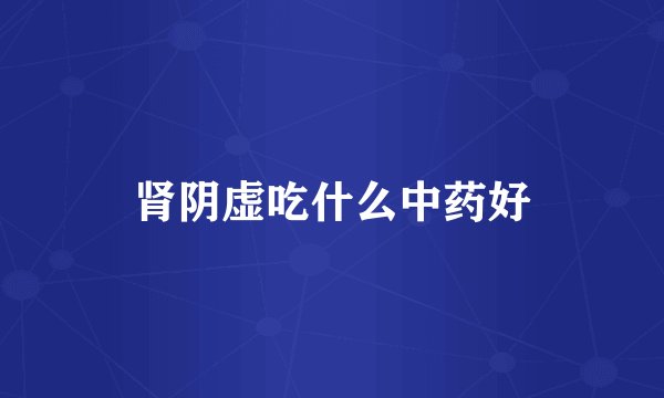 肾阴虚吃什么中药好
