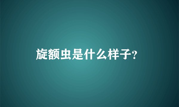 旋额虫是什么样子？