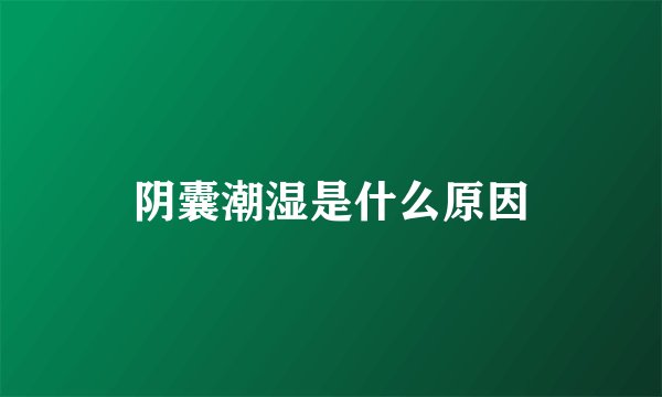 阴囊潮湿是什么原因