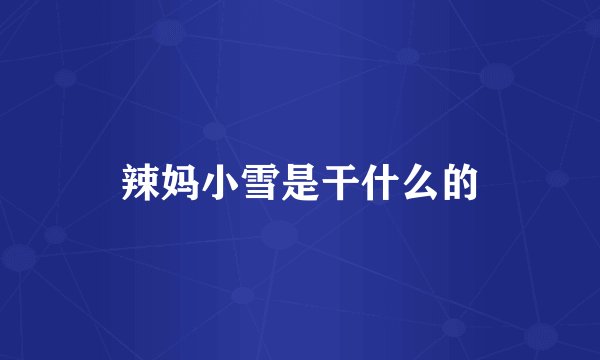 辣妈小雪是干什么的