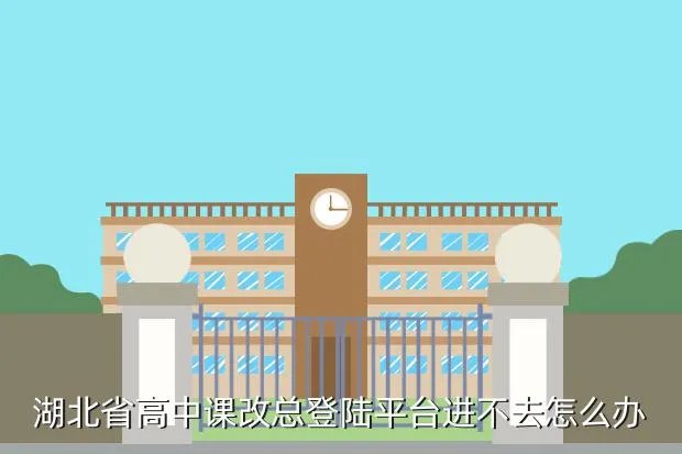 高中课改平台，湖北省高中课改总登陆平台进不去怎么办