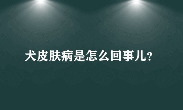 犬皮肤病是怎么回事儿？