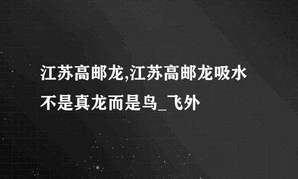 江苏高邮龙,江苏高邮龙吸水不是真龙而是鸟_飞外