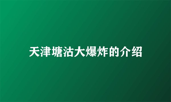 天津塘沽大爆炸的介绍