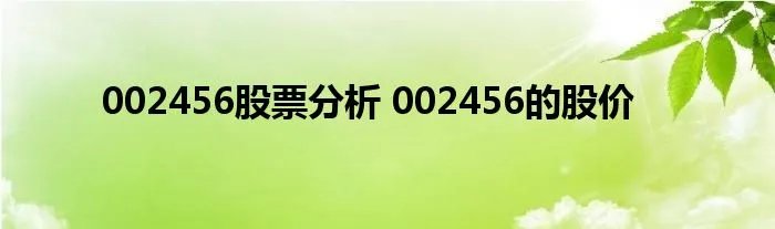 002456股票分析 002456的股价