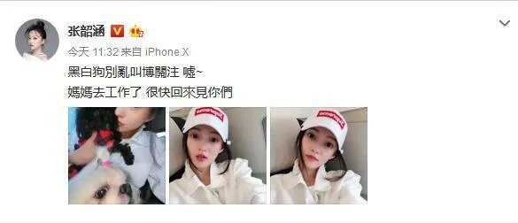 张韶涵妹妹是怎么回应“黑白狗”歧义的?