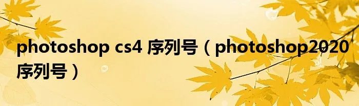 photoshop cs4 序列号（photoshop2020序列号）