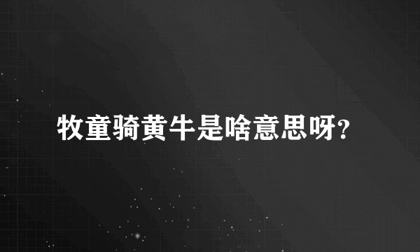 牧童骑黄牛是啥意思呀？