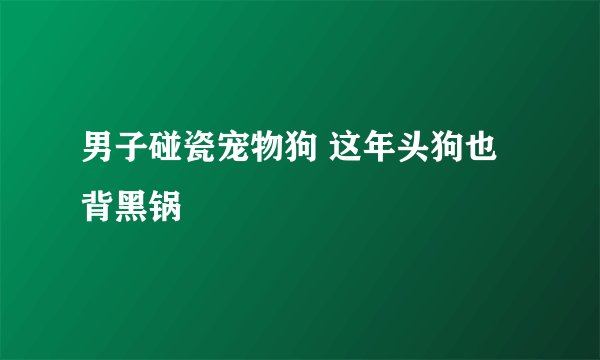 男子碰瓷宠物狗 这年头狗也背黑锅
