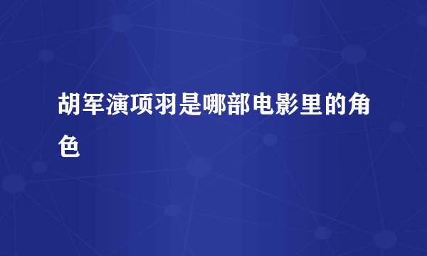 胡军演项羽是哪部电影里的角色