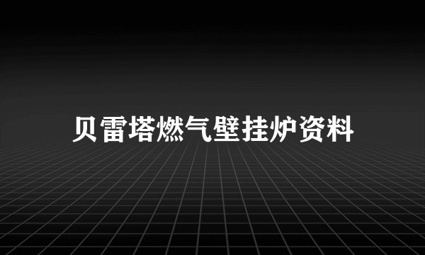 贝雷塔燃气壁挂炉资料