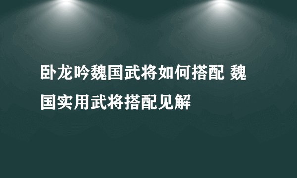 卧龙吟魏国武将如何搭配 魏国实用武将搭配见解