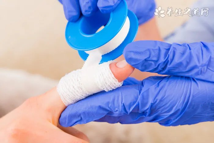 犬传染性气管支气管炎简介
