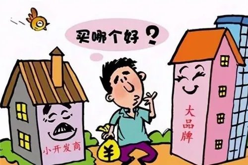 开发商是什么意思
