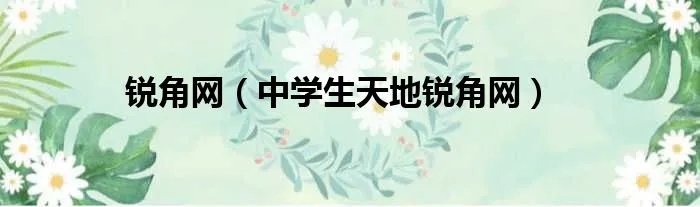 锐角网(中学生天地锐角网)