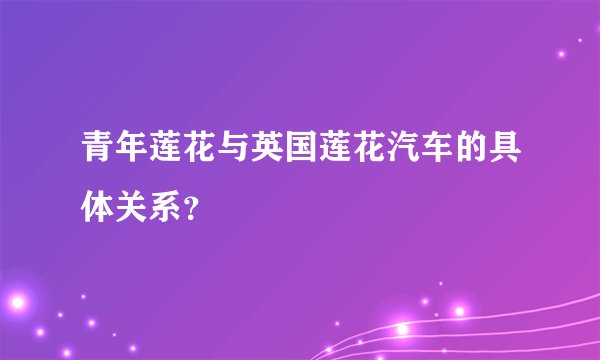 青年莲花与英国莲花汽车的具体关系?