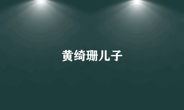 黄绮珊儿子
