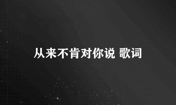 从来不肯对你说 歌词