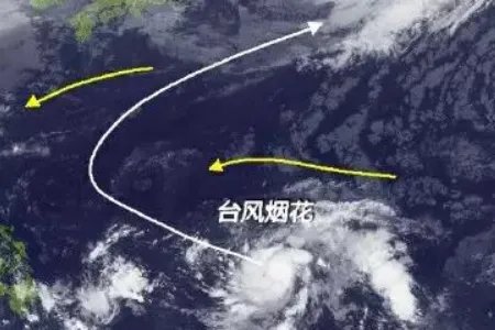 上海气象记者追风现场崩溃嘶吼,台风“烟花”究竟有多猛?