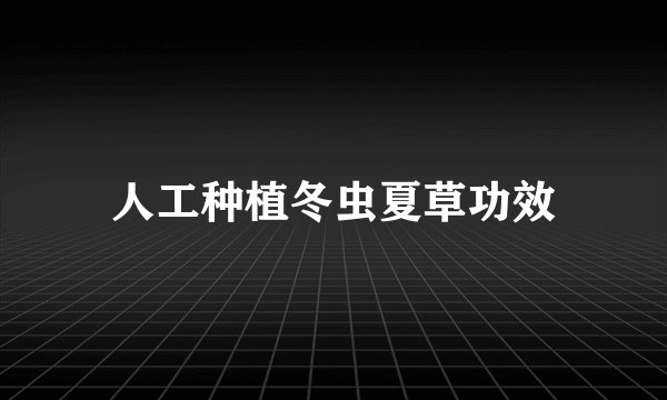 人工种植冬虫夏草功效