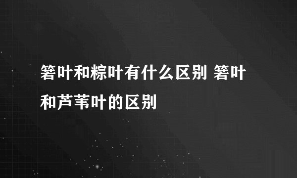 箬叶和粽叶有什么区别 箬叶和芦苇叶的区别