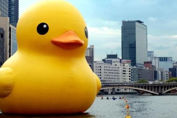 小黄鸭是什么