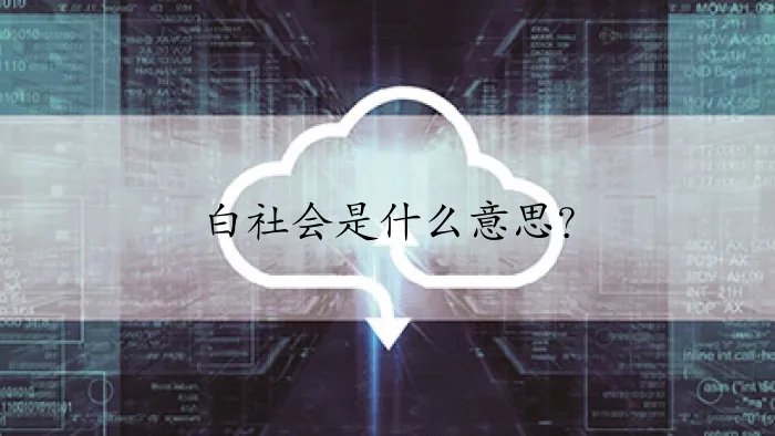 白社会是什么意思？