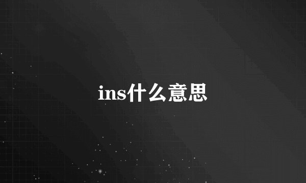 ins什么意思