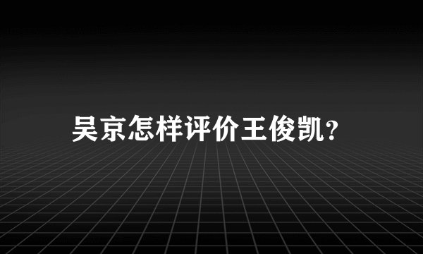 吴京怎样评价王俊凯？