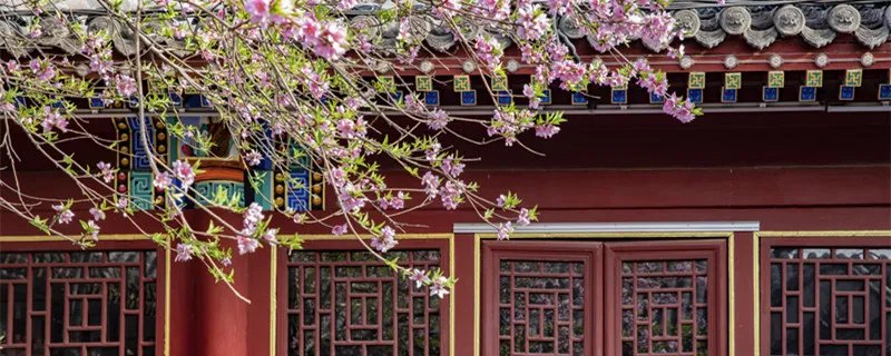 红楼梦又名 红楼梦又名叫什么