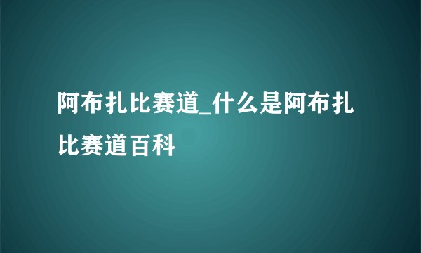 阿布扎比赛道_什么是阿布扎比赛道百科