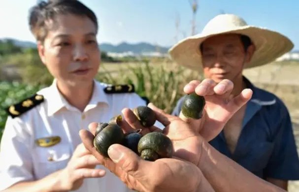 660多种外来物种入侵中国是怎么回事？
