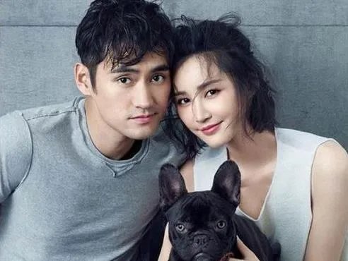 张歆艺第一任丈夫是谁:张歆艺感情史婚史介绍