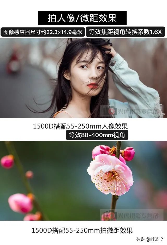低端单反存在的意义是什么?