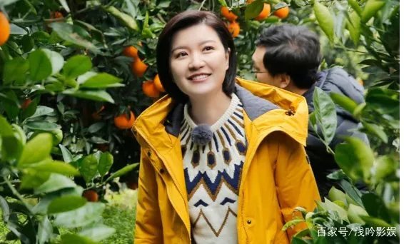 东方卫视主持人陈蓉是谁?