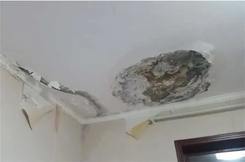房子漏水应该怎么解决